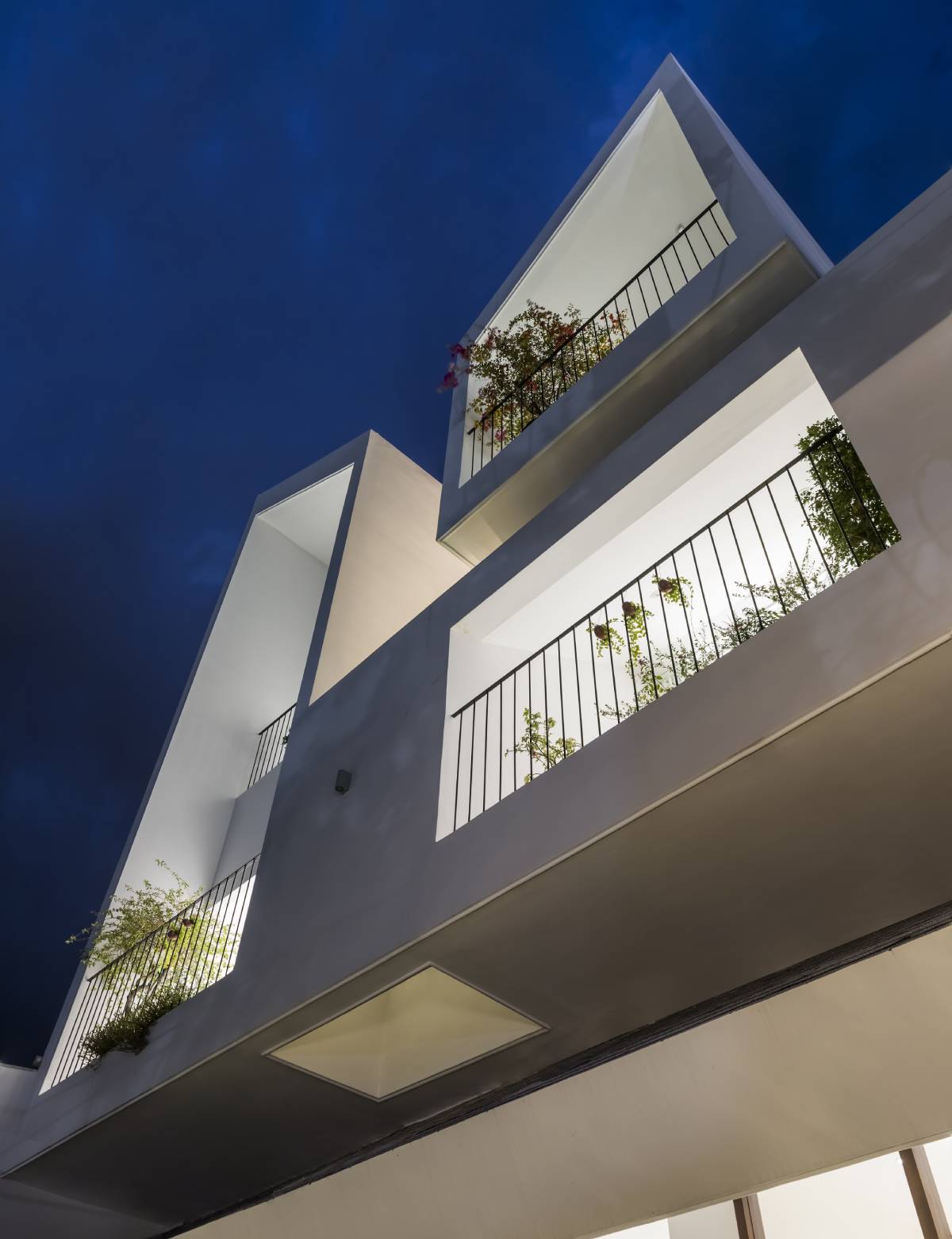 twin house